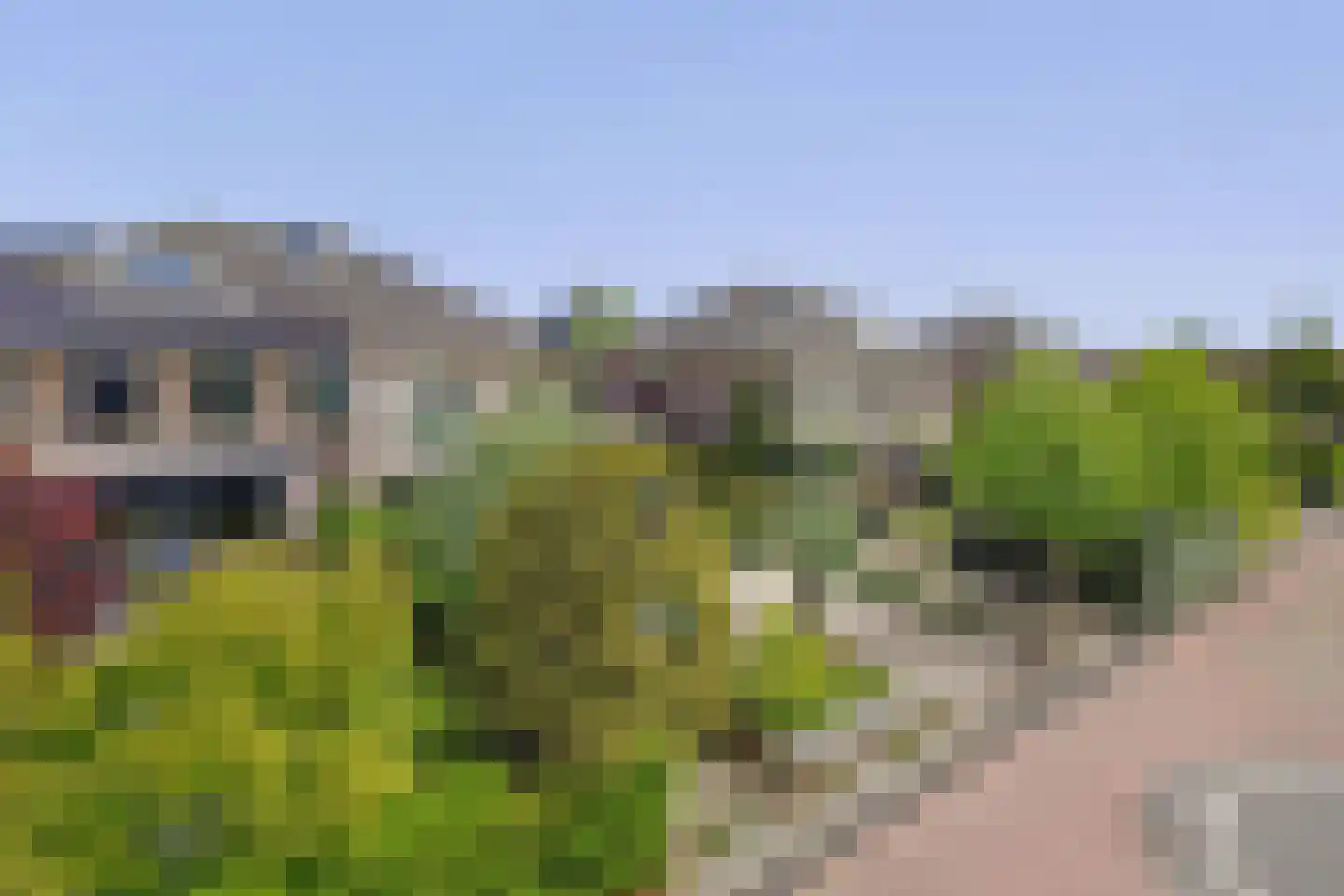 Goudhoekweg 39 Oostvoorne thumbnail 10
