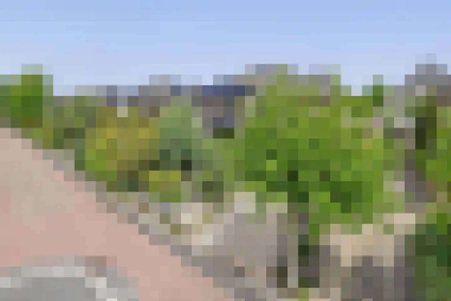 Goudhoekweg 39 Oostvoorne thumbnail 11