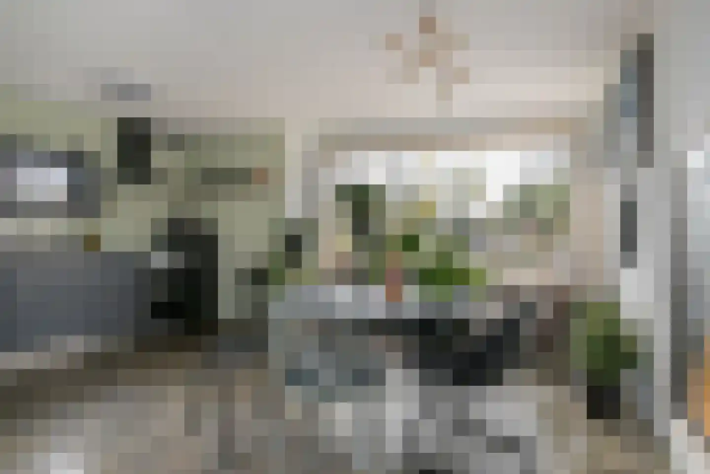 Goudhoekweg 39 Oostvoorne thumbnail 20