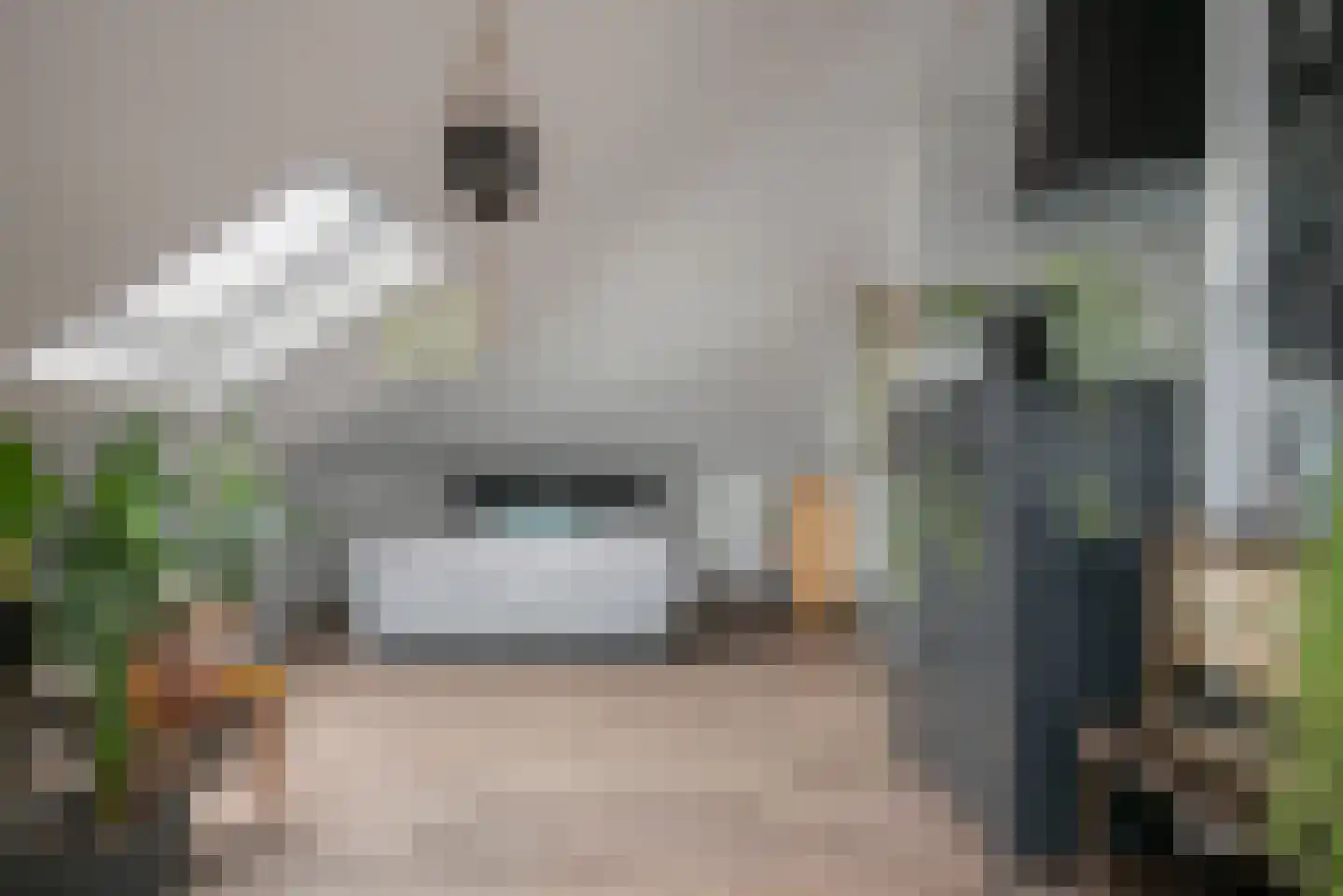 Goudhoekweg 39 Oostvoorne thumbnail 41