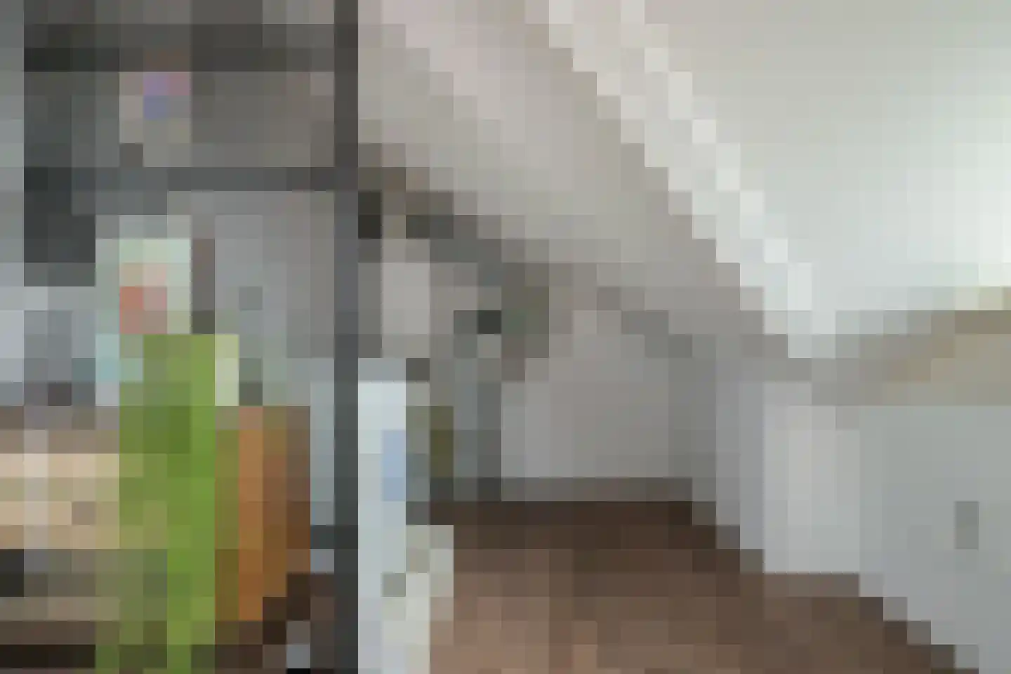 Goudhoekweg 39 Oostvoorne thumbnail 42