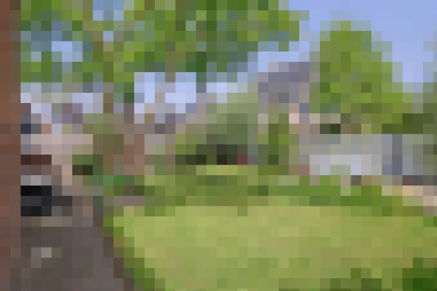 Goudhoekweg 39 Oostvoorne thumbnail 47