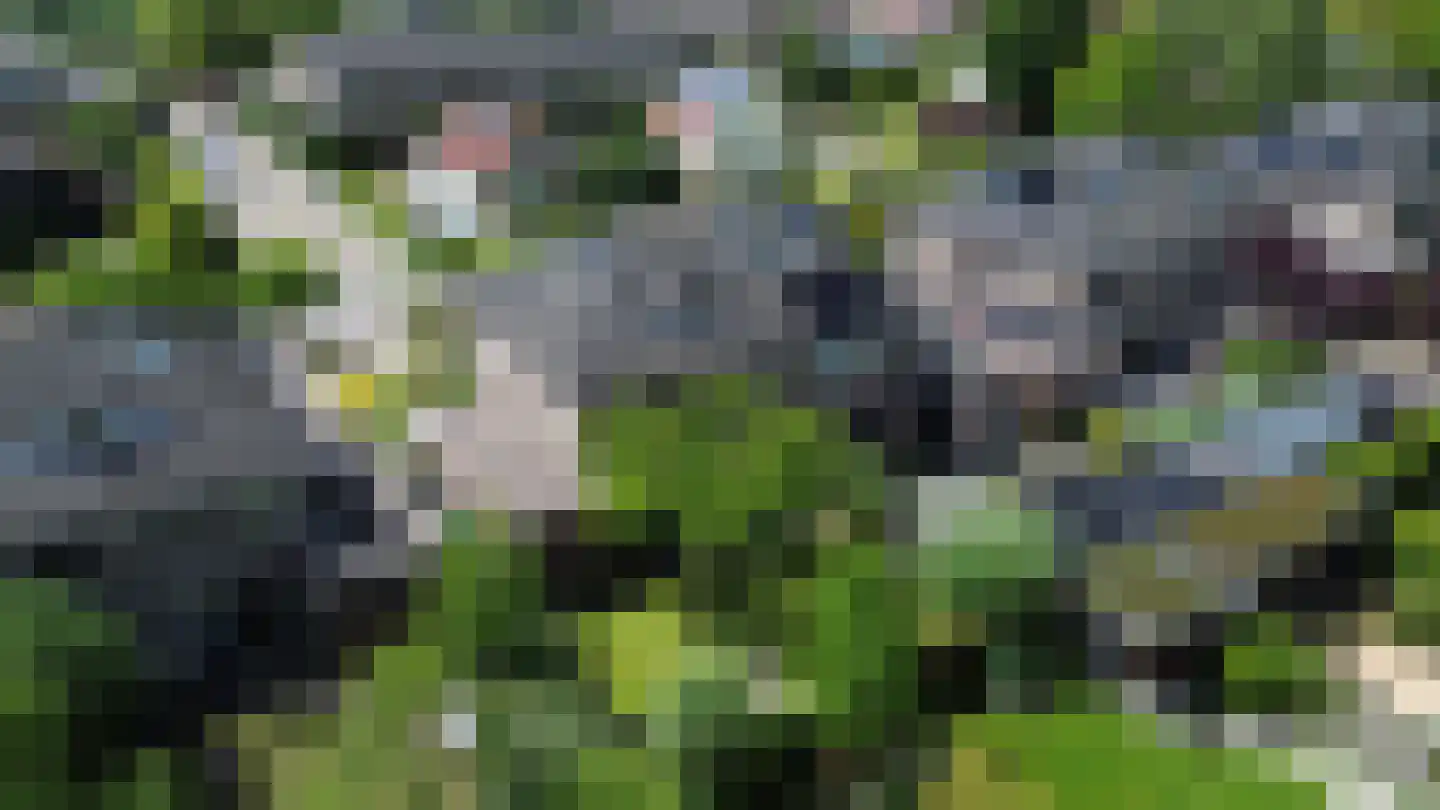 Goudhoekweg 39 Oostvoorne thumbnail 51