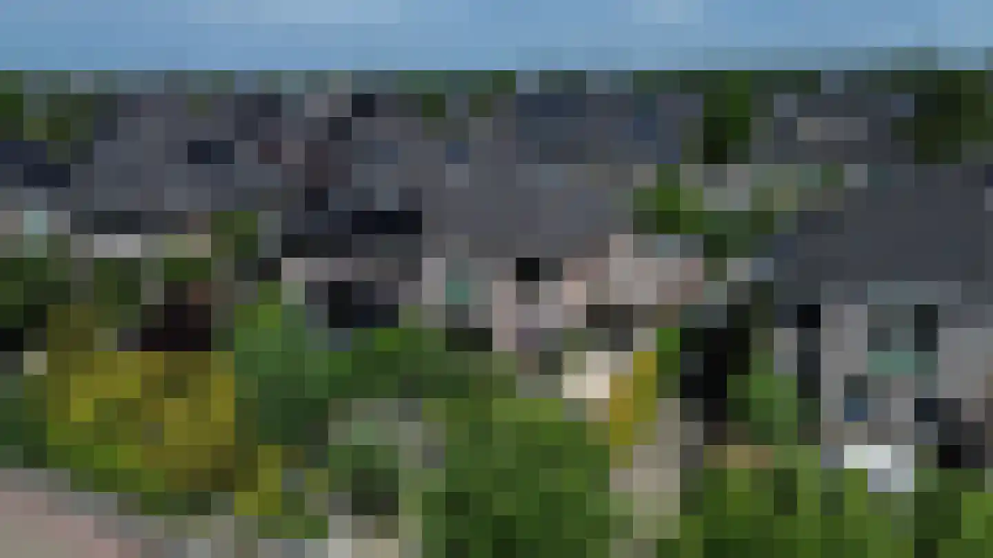 Goudhoekweg 39 Oostvoorne thumbnail 6