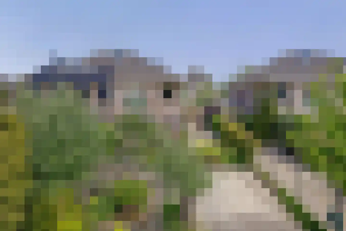 Goudhoekweg 39 Oostvoorne thumbnail 8