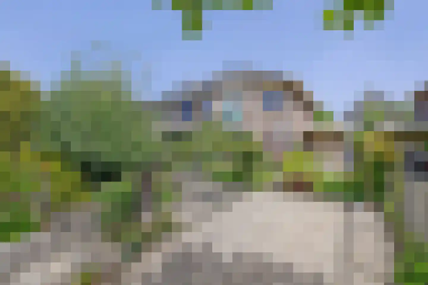 Goudhoekweg 39 Oostvoorne thumbnail 9
