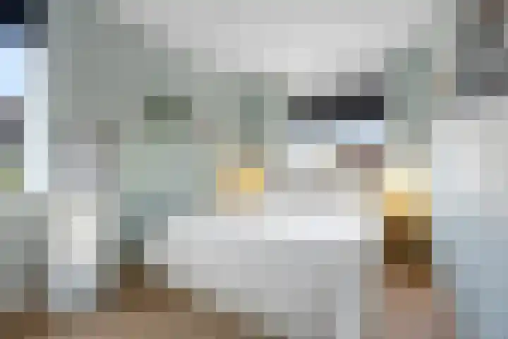 Goudkamp 105 Voorthuizen thumbnail 14