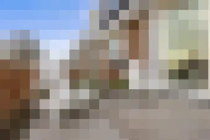 Goudkamp 105 Voorthuizen thumbnail 21