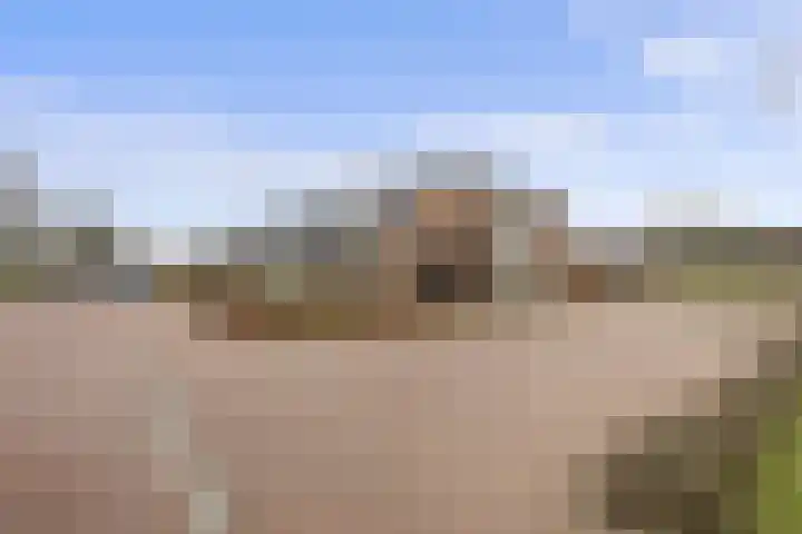 Goudkamp 105 Voorthuizen thumbnail 22