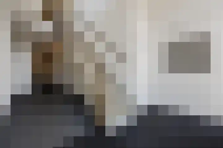 Goudkamp 105 Voorthuizen thumbnail 23