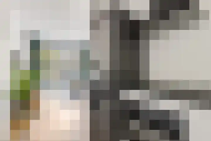 Goudkamp 108 Voorthuizen thumbnail 12