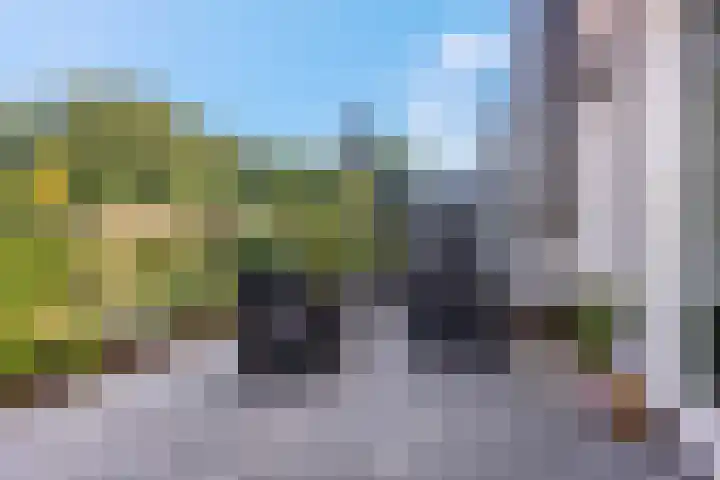 Goudkamp 108 Voorthuizen thumbnail 13