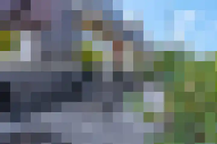 Goudkamp 108 Voorthuizen thumbnail 14