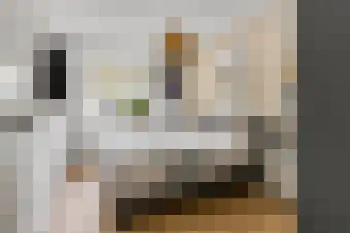 Goudkamp 108 Voorthuizen thumbnail 16