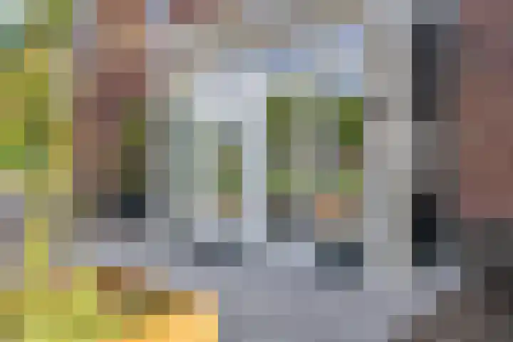 Goudkamp 108 Voorthuizen thumbnail 25