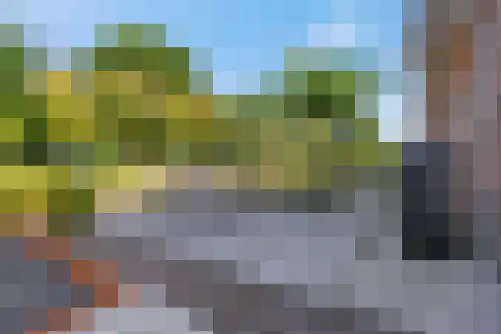 Goudkamp 108 Voorthuizen thumbnail 26