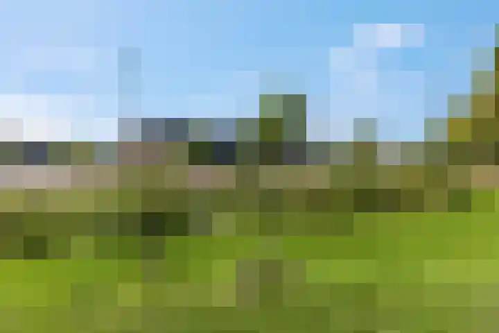 Goudkamp 108 Voorthuizen thumbnail 27