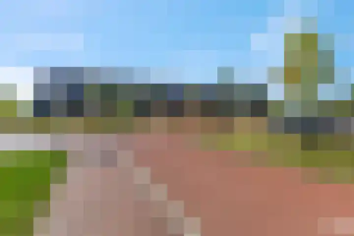 Goudkamp 108 Voorthuizen thumbnail 5
