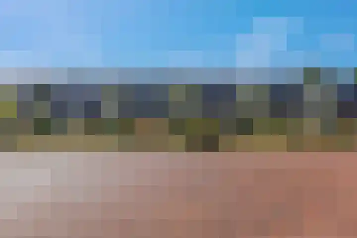 Goudkamp 108 Voorthuizen thumbnail 6