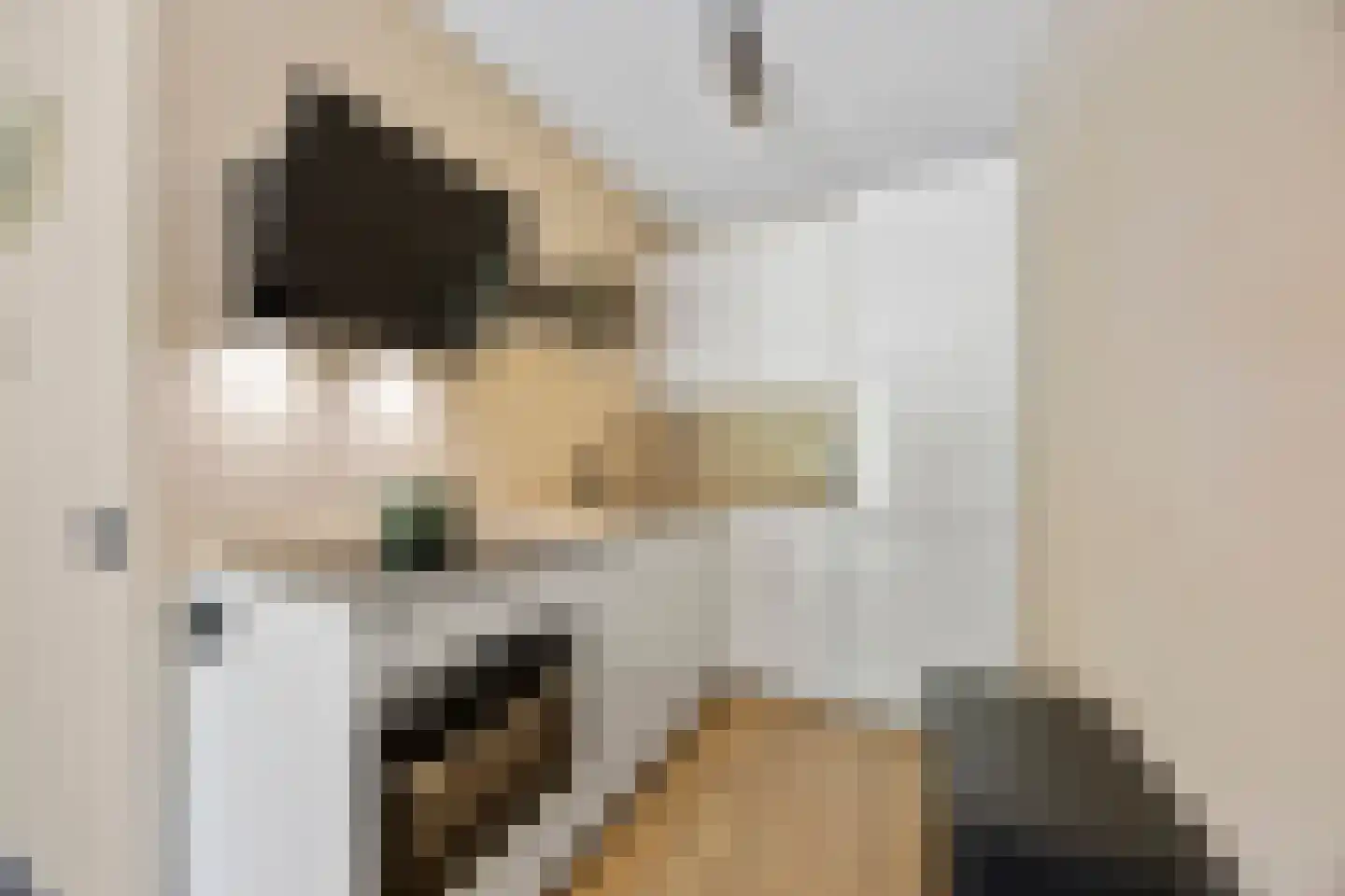 Goudkamp 109 Voorthuizen thumbnail 11