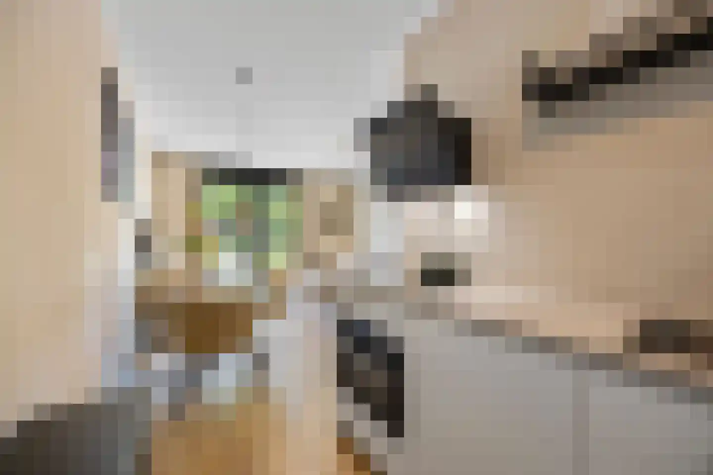 Goudkamp 109 Voorthuizen thumbnail 13