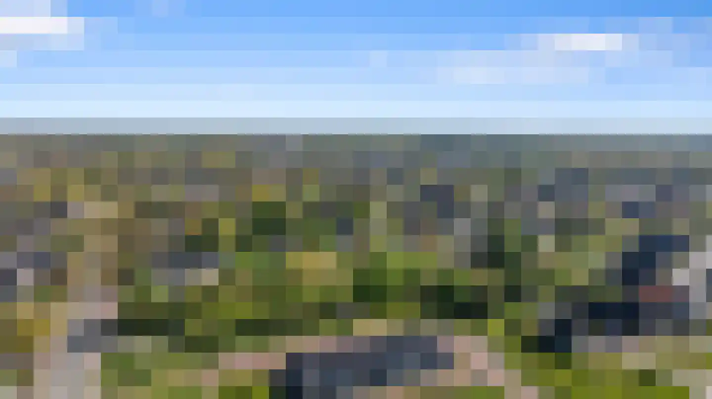 Goudkamp 109 Voorthuizen thumbnail 4
