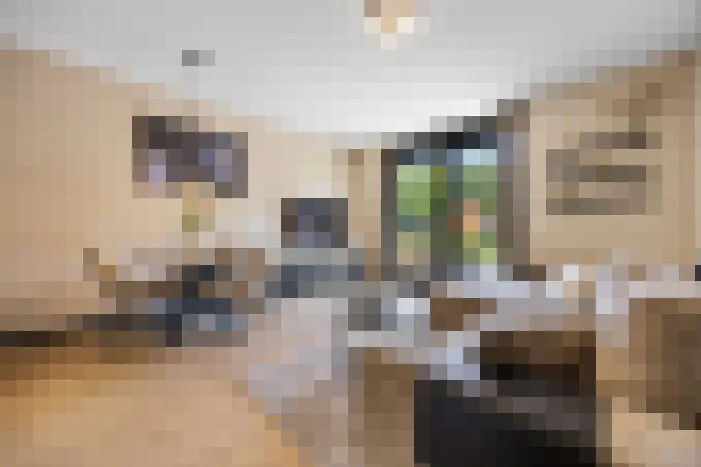 Goudkamp 109 Voorthuizen thumbnail 7
