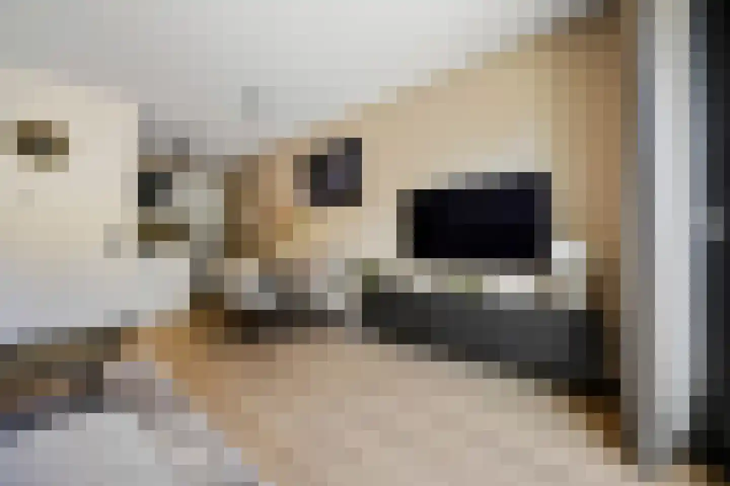 Goudkamp 109 Voorthuizen thumbnail 9