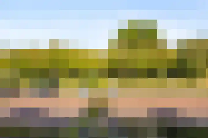 Goudkamp 121 Voorthuizen thumbnail 23