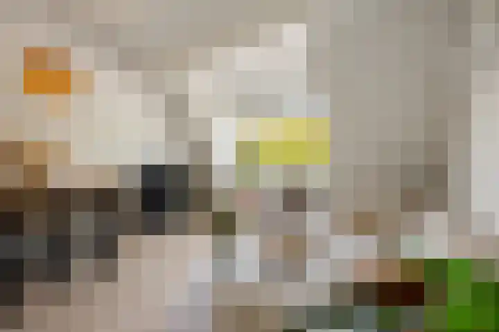Goudkamp 121 Voorthuizen thumbnail 7