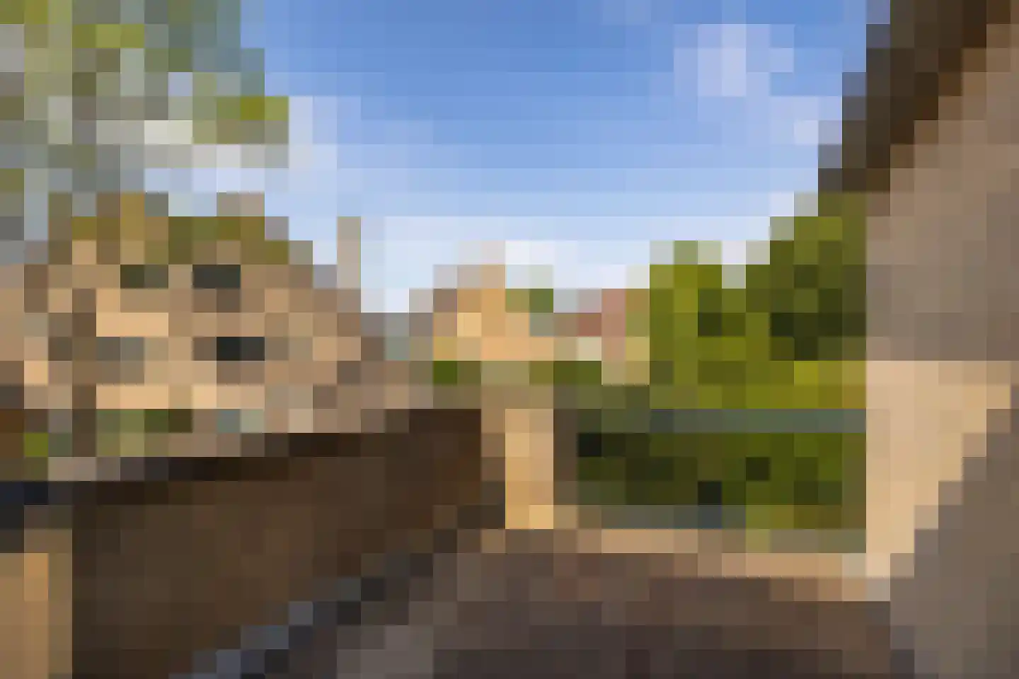 Goudkarper 33 Leiden thumbnail 15