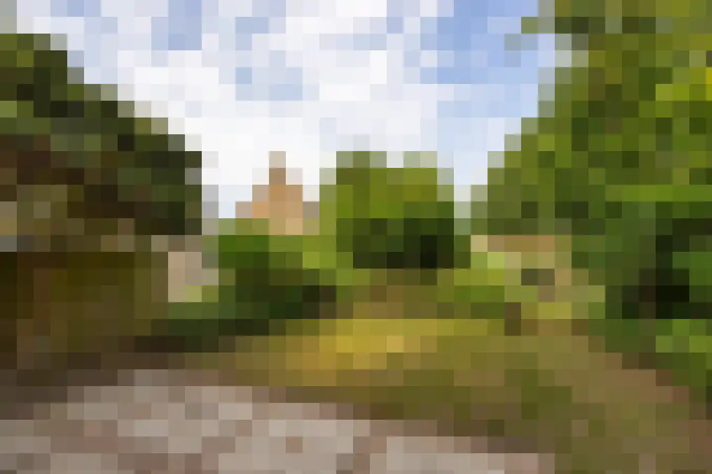 Goudkarper 33 Leiden thumbnail 23