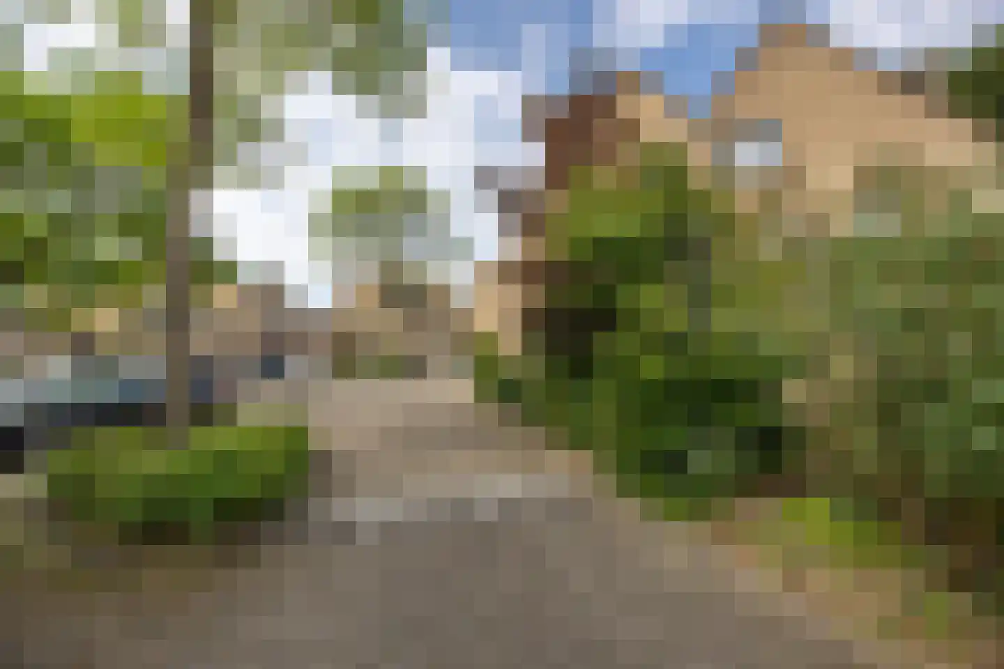 Goudkarper 33 Leiden thumbnail 26