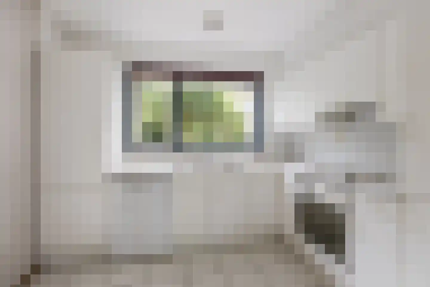 Goudkarper 33 Leiden thumbnail 8