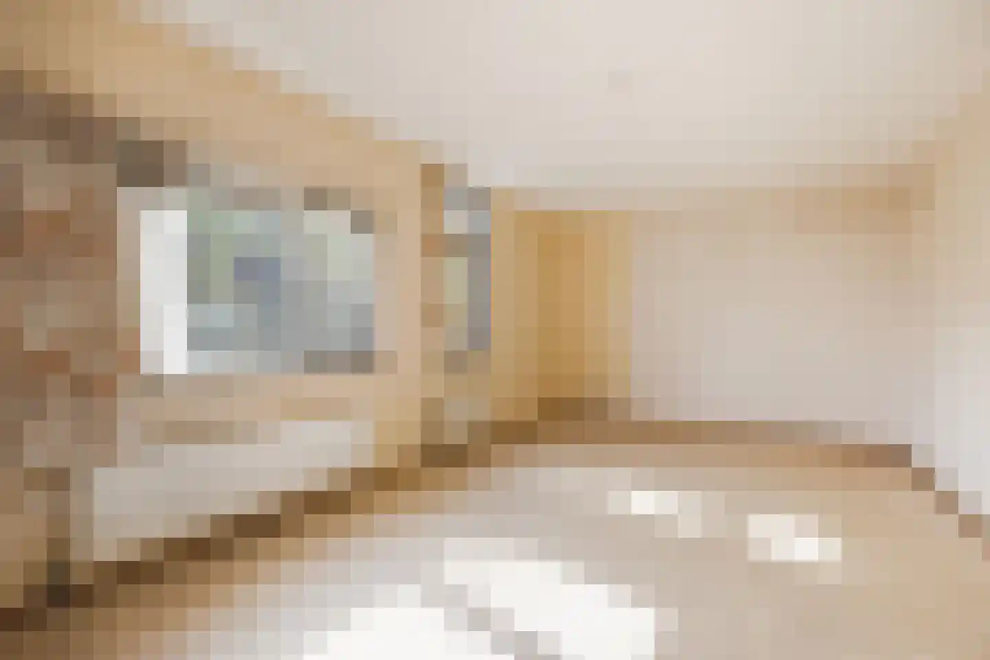 Goudkarper 33 Leiden thumbnail 9