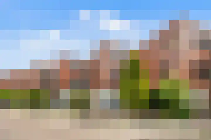 Goudkarpersingel 8 in Den Haag