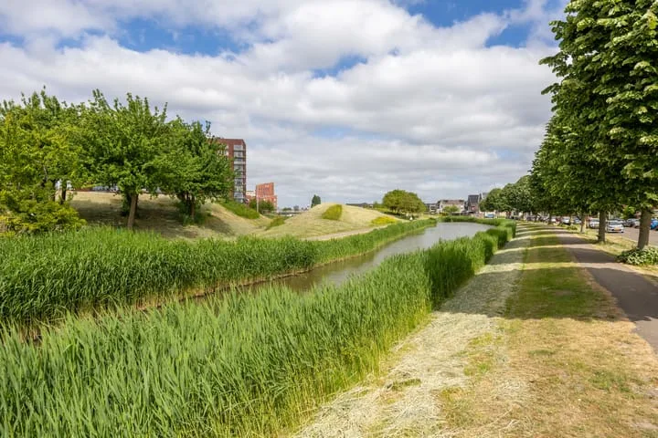 Goudkarpersingel 8 Den Haag thumbnail 10