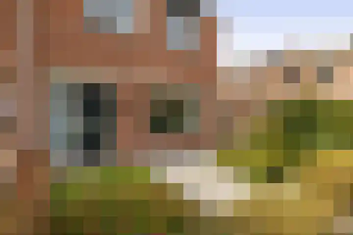 Goudkruid 181 Rotterdam thumbnail 10