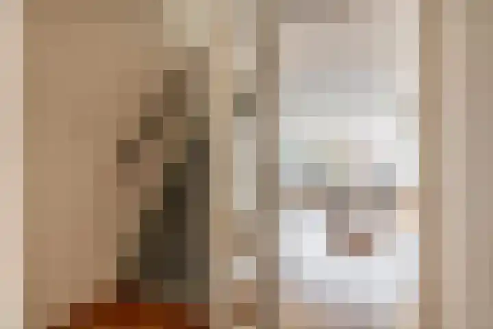Goudkruid 181 Rotterdam thumbnail 13