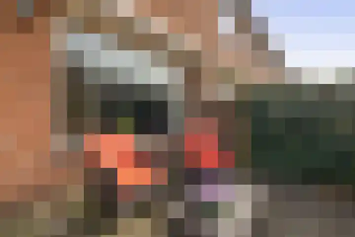 Goudkruid 181 Rotterdam thumbnail 23