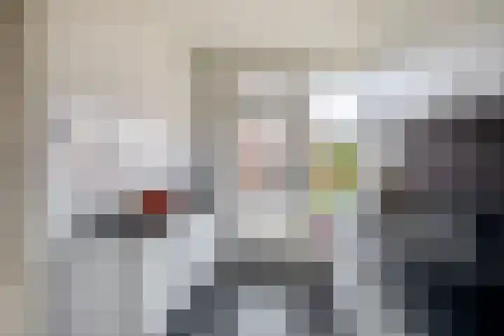 Goudkruid 181 Rotterdam thumbnail 4