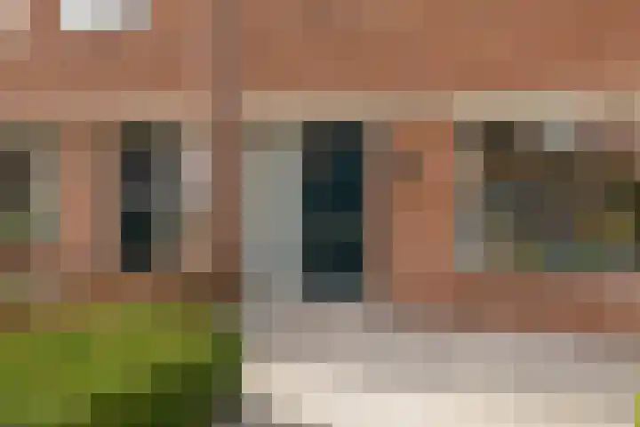 Goudkruid 181 Rotterdam thumbnail 9