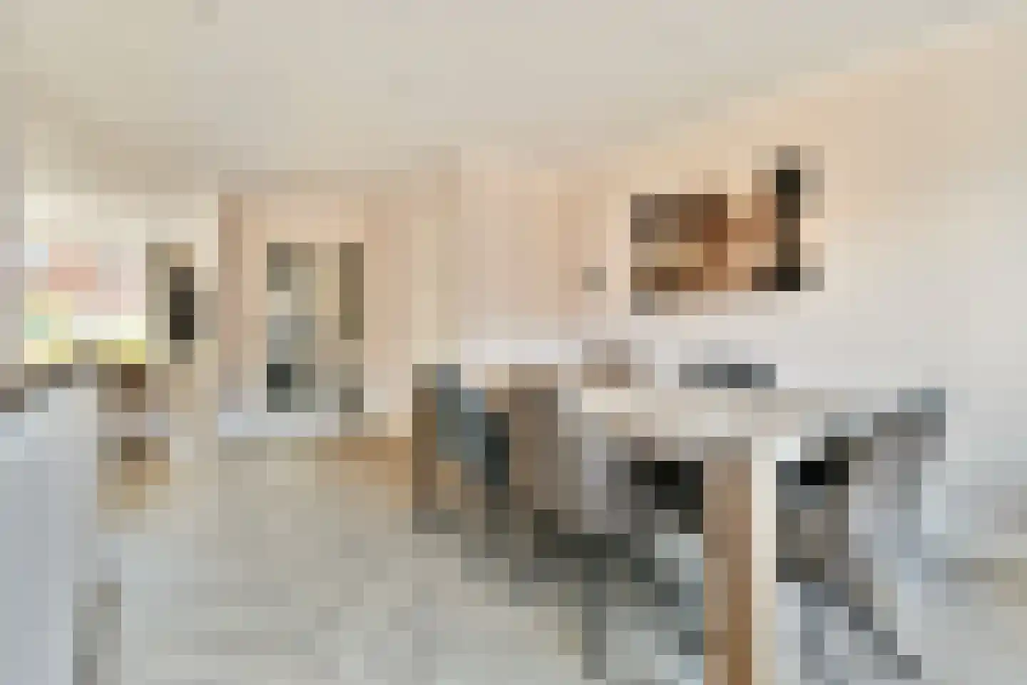 Goudkruid 189 Rotterdam thumbnail 11