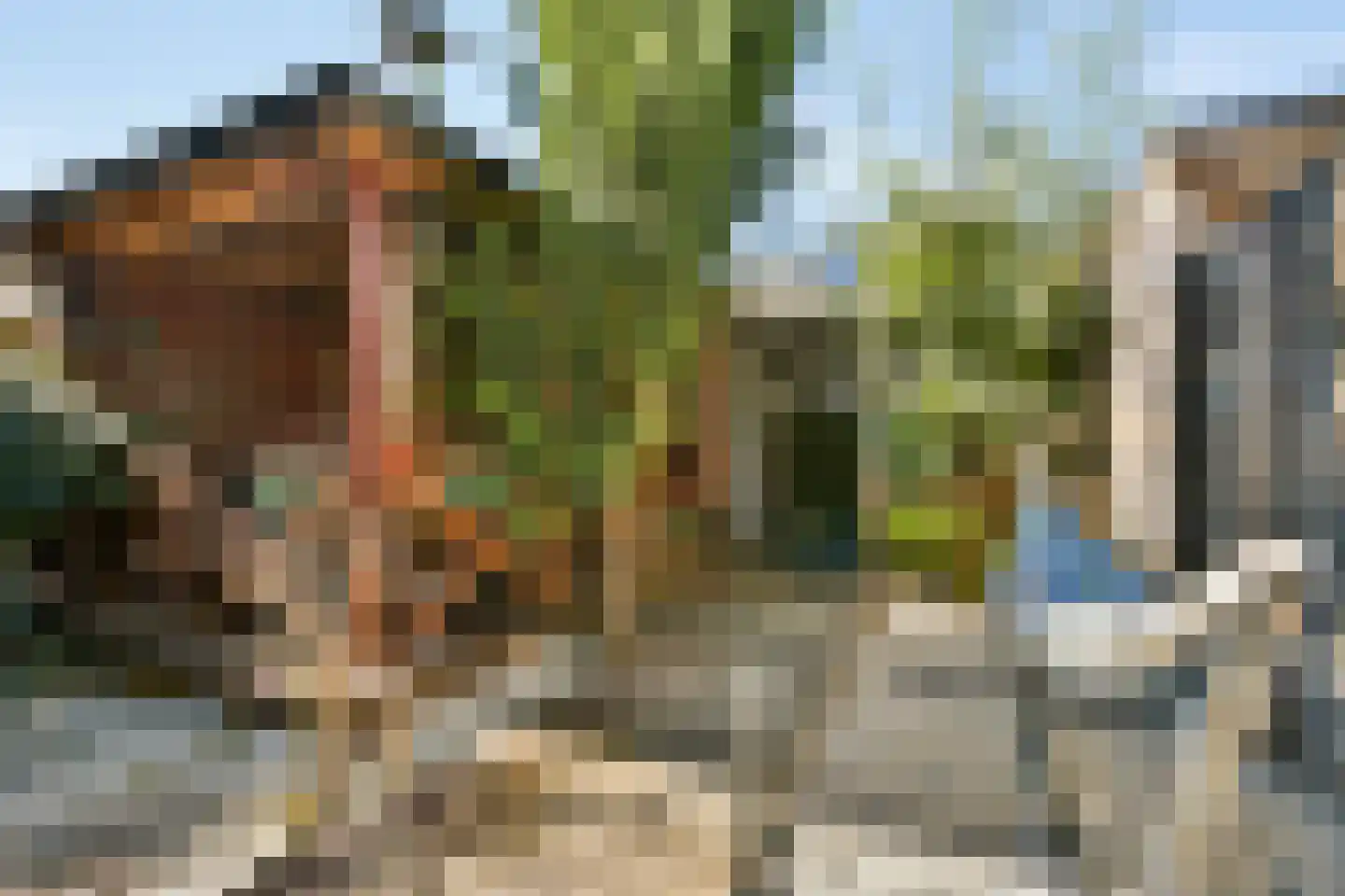 Goudkruid 189 Rotterdam thumbnail 14