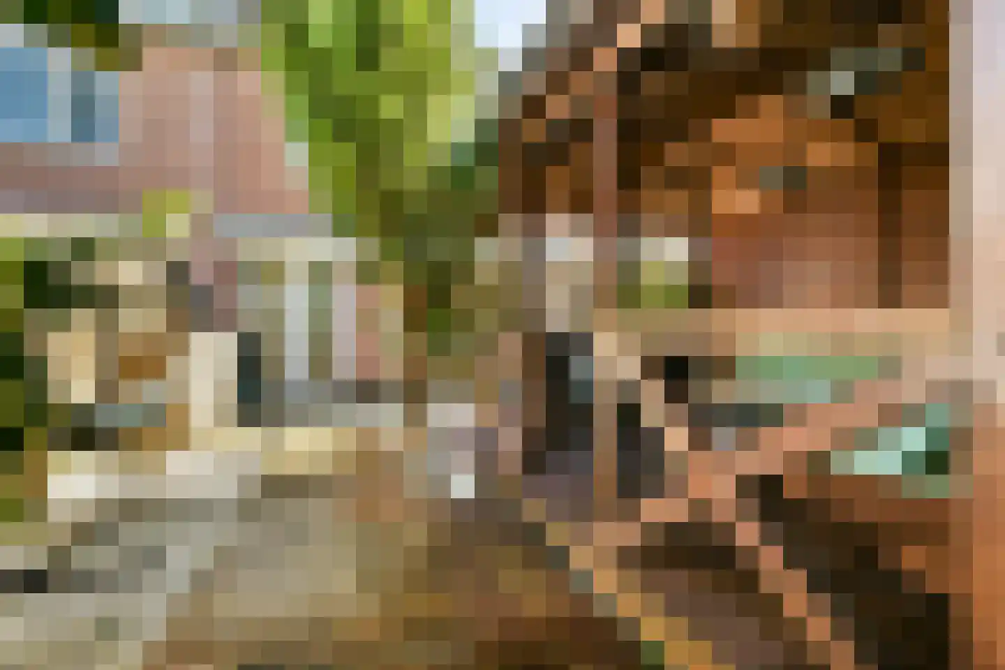 Goudkruid 189 Rotterdam thumbnail 15