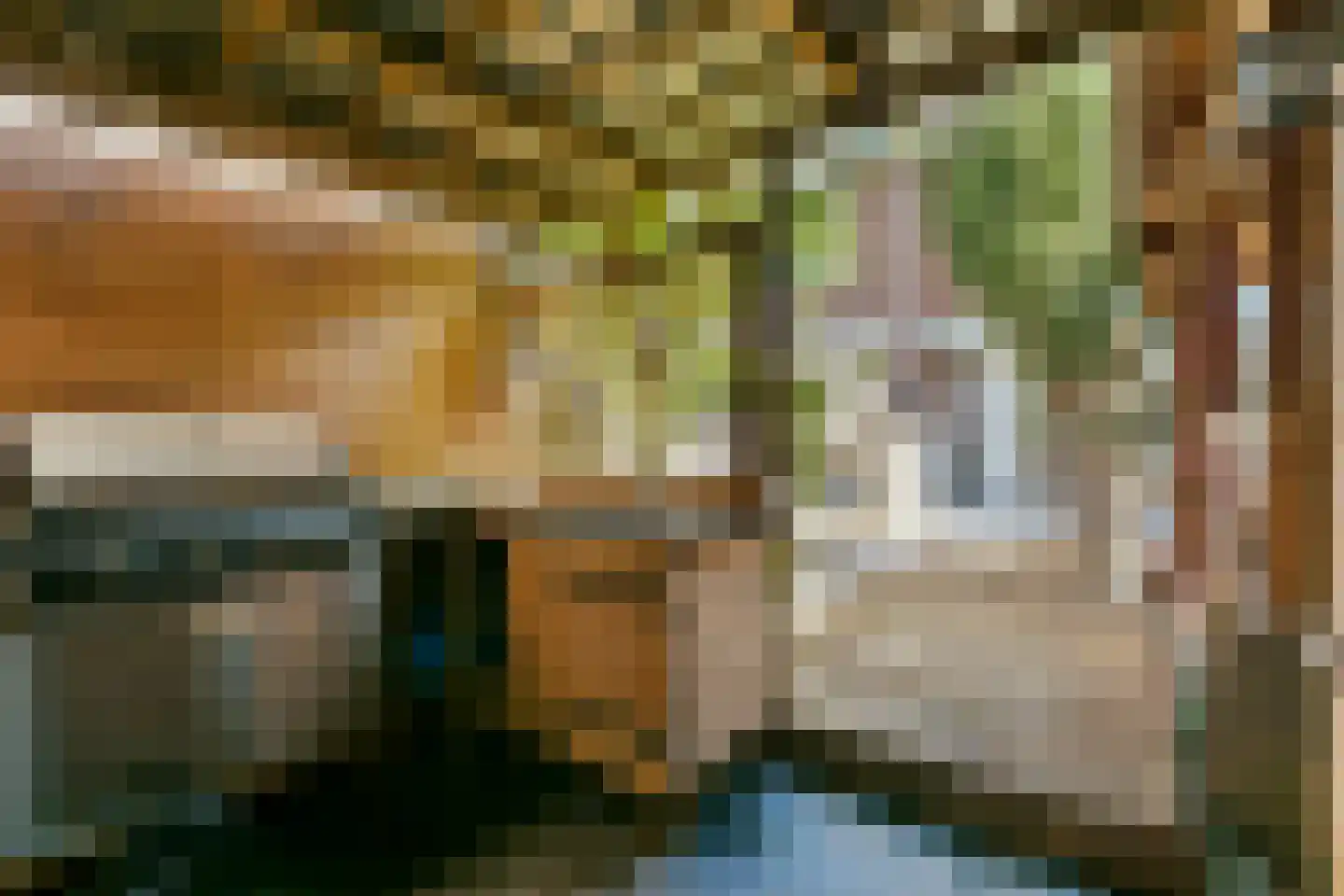 Goudkruid 189 Rotterdam thumbnail 17