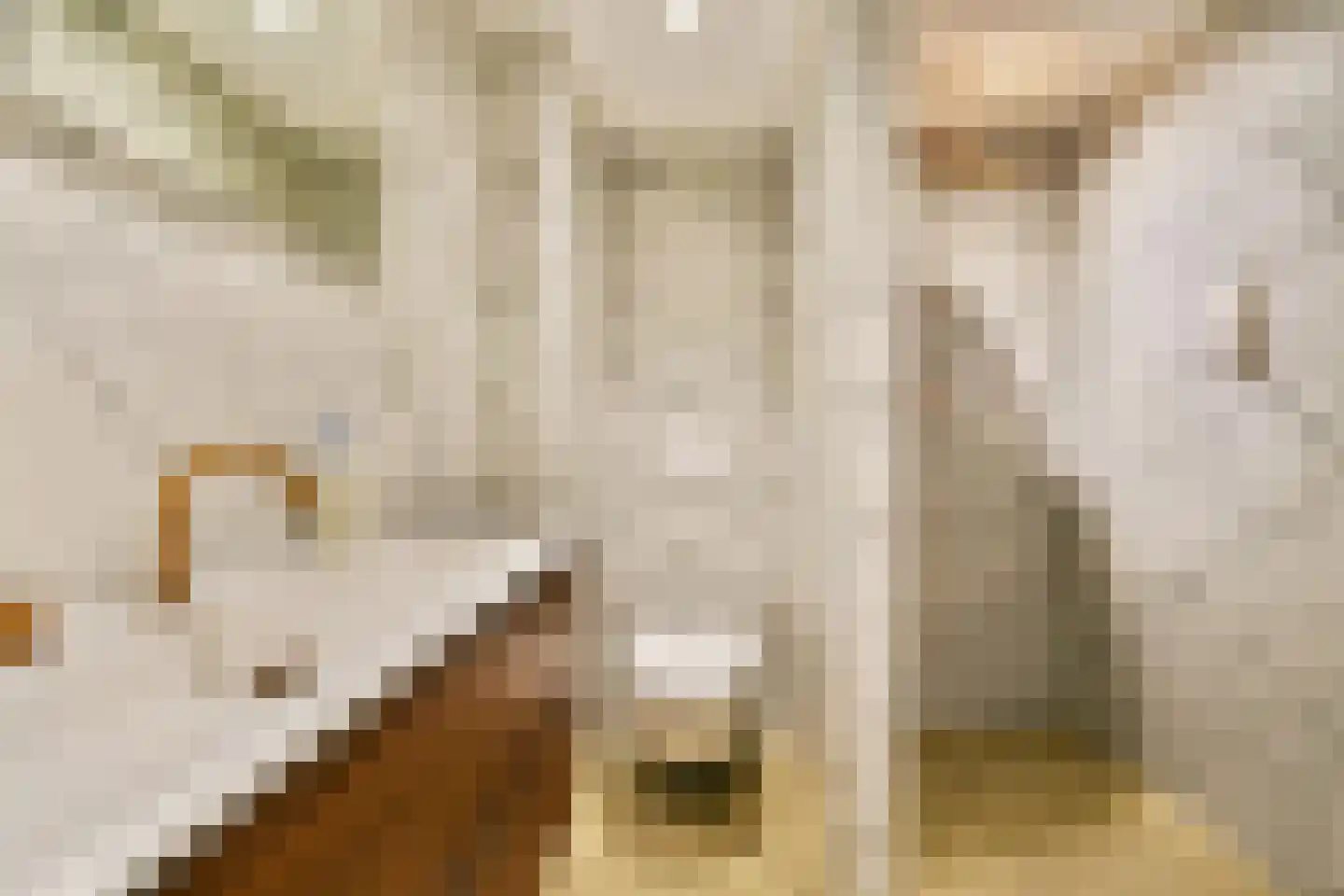 Goudkruid 189 Rotterdam thumbnail 23