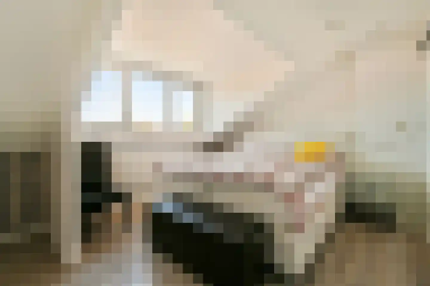 Goudkruid 189 Rotterdam thumbnail 31