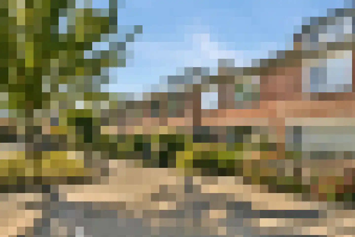 Goudkruid 189 Rotterdam thumbnail 37