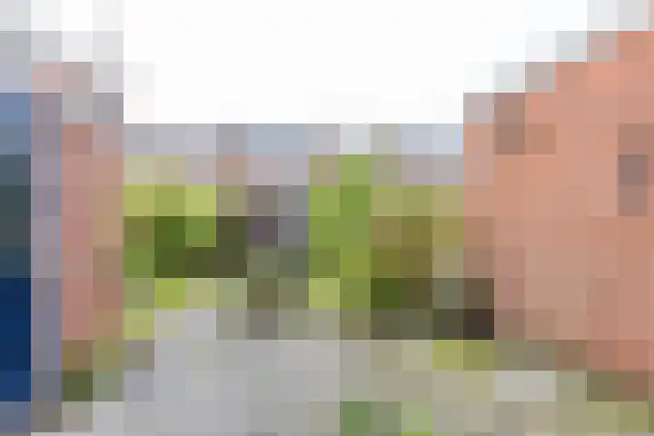 Goudlaan 13 Groningen thumbnail 11